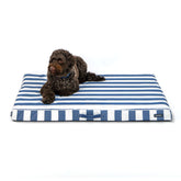 Snooza Alfresco Dream Dog Orthobed Ocean Blue Stripe