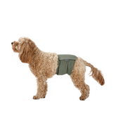 Snooza Washable Nappy Band for Male Dogs 2 Pack