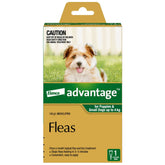 Advantage Dog 0-4kg Green 1 Pack | petsome Pet Supplies