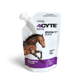 Epiitalis Forte Gel For Horses Supports Joint Health