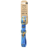 Anipal Piper The Platypus Recycled Dog Collar - Large | petsome Pet Supplies