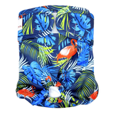 Washable Dog Nappies Blue Green 2 Pack