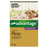 Flea Spot-On Cat Large Purple