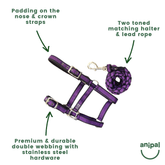 Anipal Comfort Horse Halter And Lead Autumn Lilac