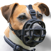 Ultra Dog Muzzle Black