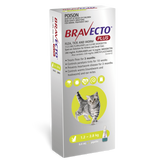 Green All-in-One Spot-On For Small Cats