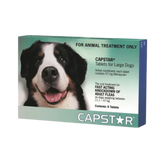Flea Tablets Medium & Large Dogs Green