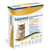 Spot On Solutions For Medium Cats