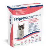 Spot On Solutions For Small Cats