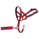 Dog Training Head Collar in Red