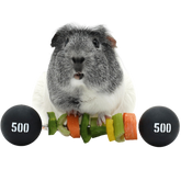 Haypigs Piggy Weight Lifter Vegetable Kebab Maker