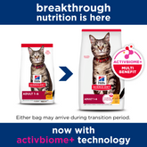 Adult Cat Dry Food