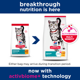 Adult Indoor Dry Cat Food
