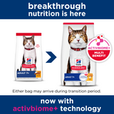 Senior 7 Plus Dry Cat Food