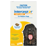 Spectrum Worming Chews Medium Dogs Yellow