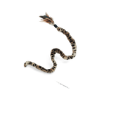 Cat Dr Noys Swizzle Bird Teaser Assorted Colours