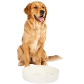 Dog Outdoor Water Bowl Milk Speckle