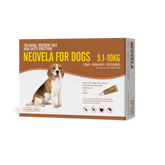 Flea And Worming For Medium Dogs