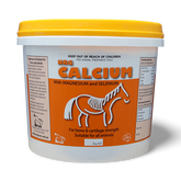Calcium Supplement