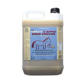 Garlic And Apple Cider Vinegar