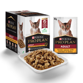 Adult Chicken Gravy Wet Cat Food Pouches