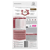 Adult Salmon Dry Cat Food