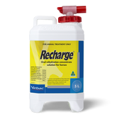 Recharge Horse Rehydration Concentrate