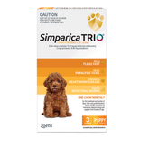 Chews for Puppy Dogs 1.25-2.5kg