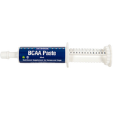 Bcaa Recovery Paste