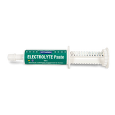 Electrolyte Paste