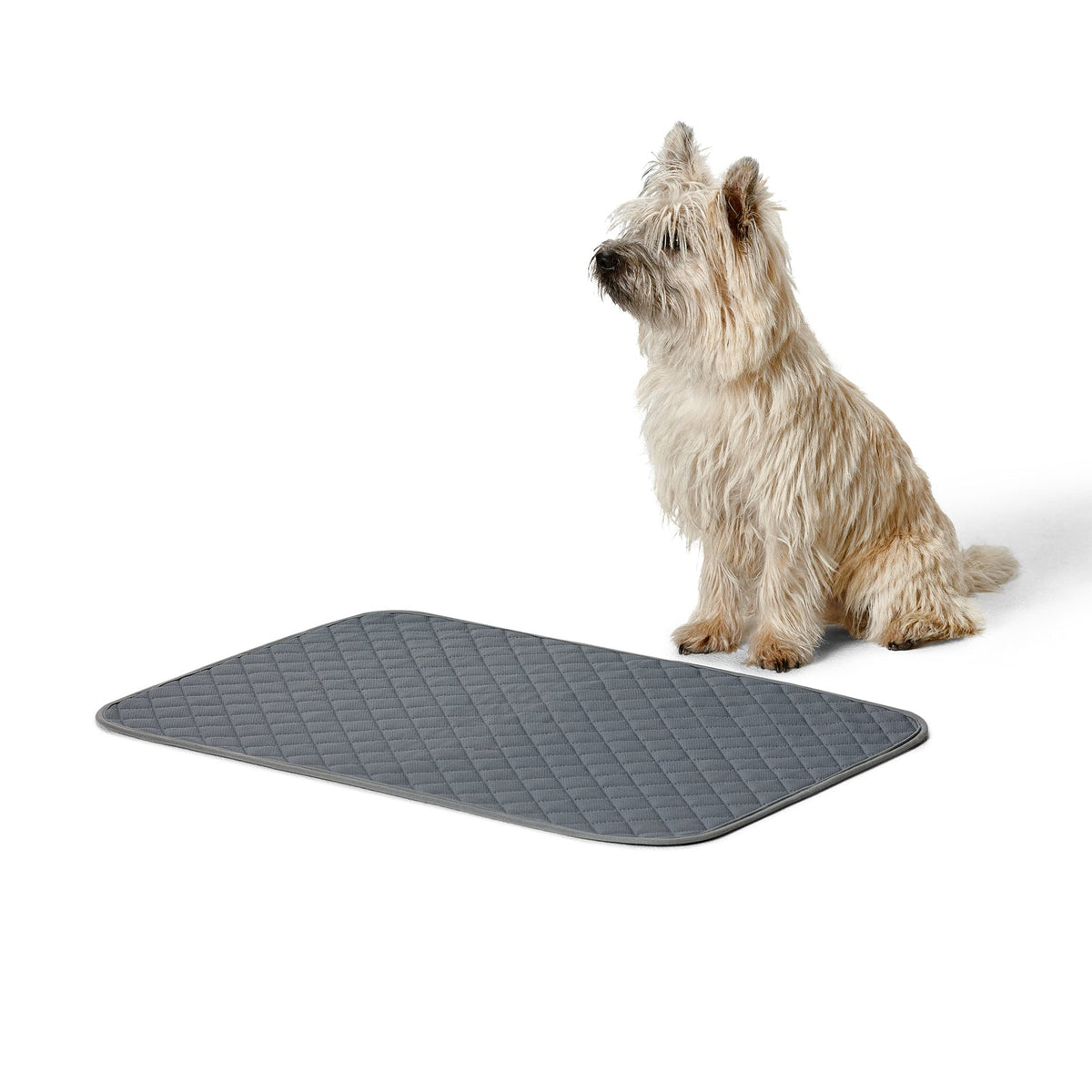 Snooza Washable Dog Pee Pad 2 Pack