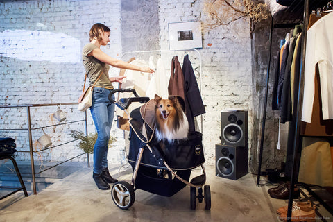 Ibiyaya Monarch Premium Pet Jogger Foldable Stroller Travel Carriage