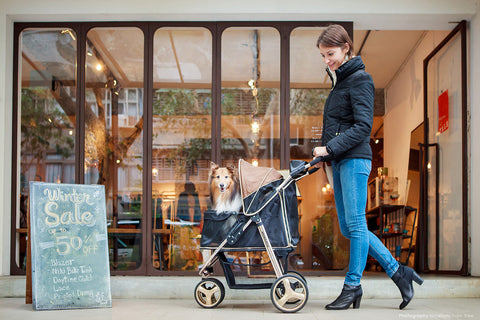 Ibiyaya Monarch Premium Pet Jogger Foldable Stroller Travel Carriage