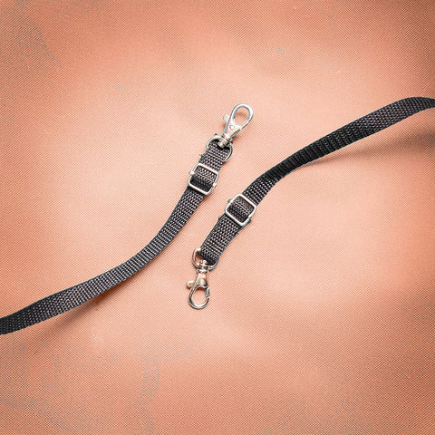 Ibiyaya Monarch Premium Pet Jogger Foldable Stroller Travel Carriage