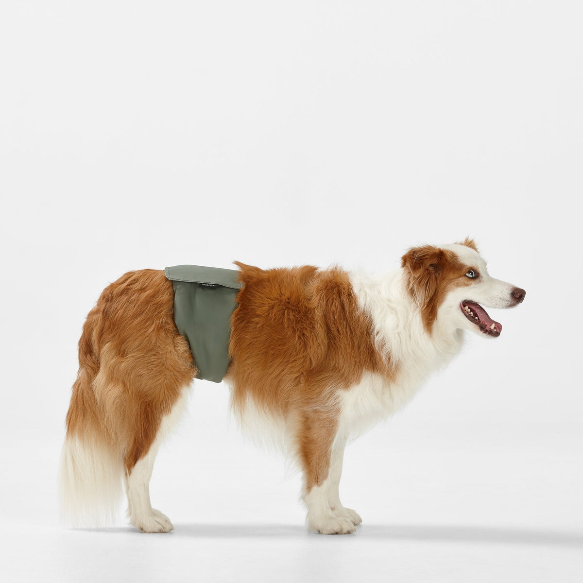 Snooza Washable Nappy Band for Male Dogs 2 Pack