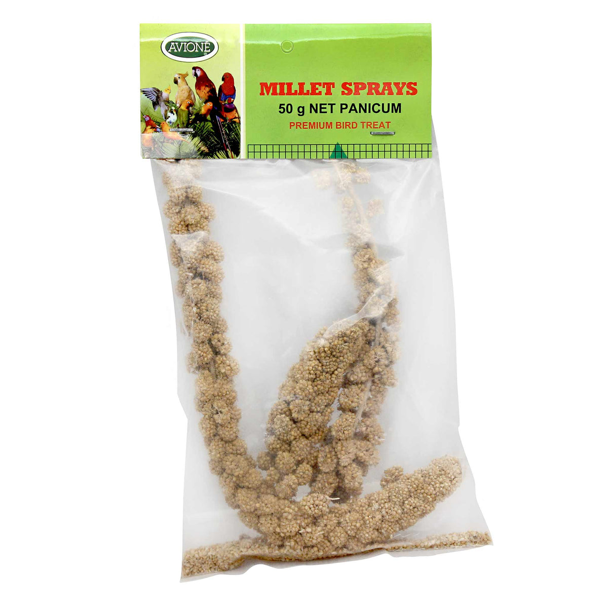 Millet Sprays - Panicum