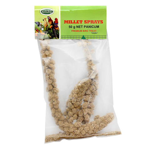 Millet Sprays - Panicum