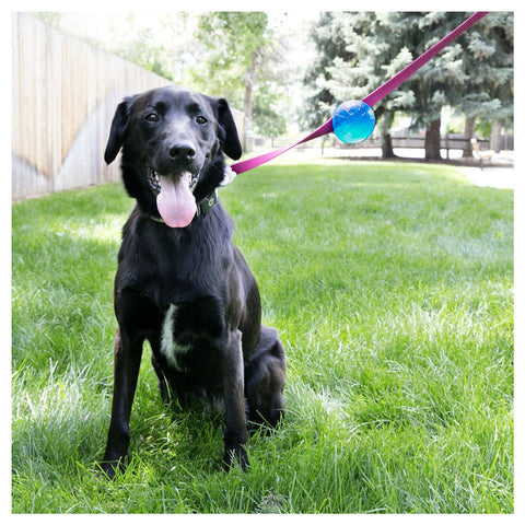 KONG TagALong Ball - Medium