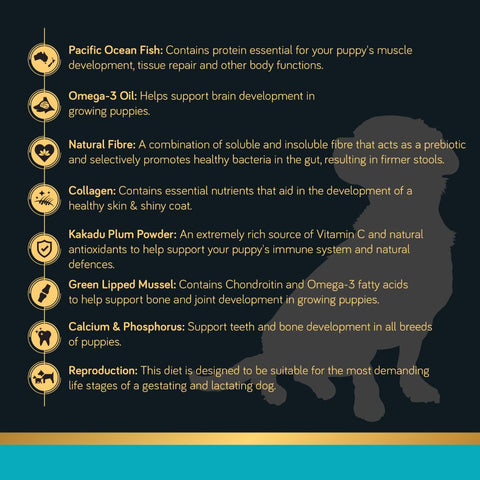 Talentail Ultimate Premium Dry Puppy Food Pacific Ocean Fish