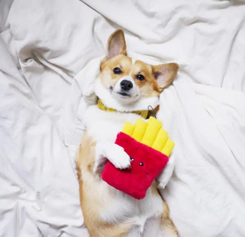 Zippy Paws Dog Toys Plush NOMNOMZ - Fries