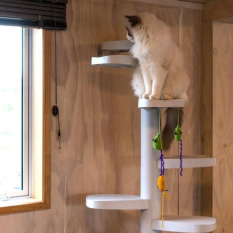 Monkee Tree - The Scalable Cat Climbing Ladder - 12 Trunk Starter Pack