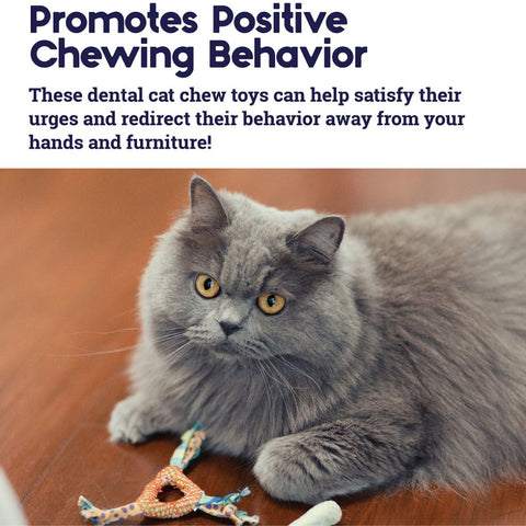 Petstages Dental Health Textures Chews Cat Toys With Catnip - Pack Of 2 Toys