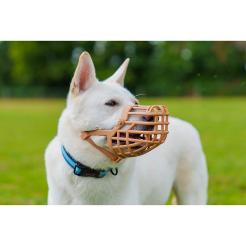Classic Basket Muzzle Dog Beige