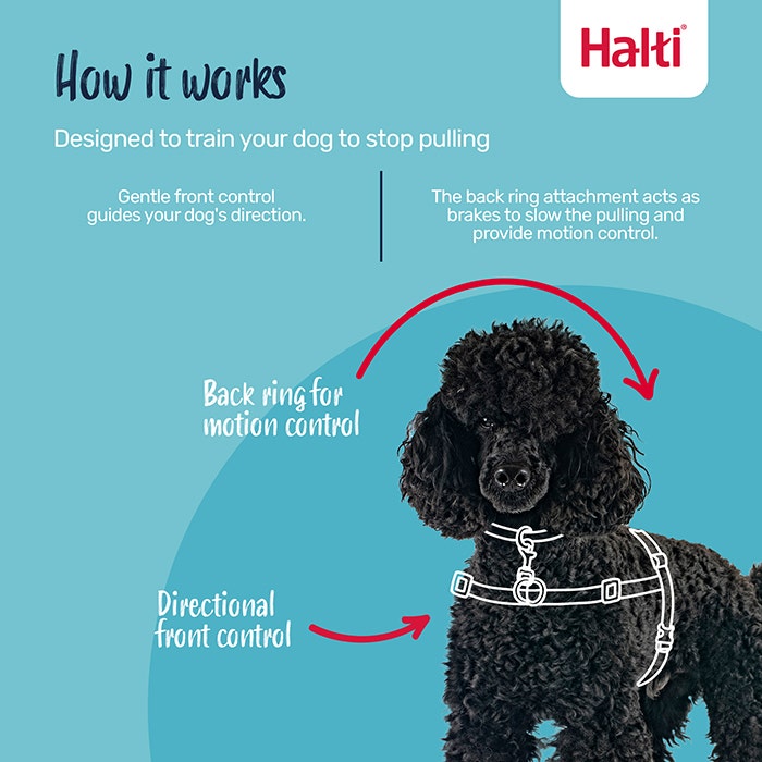 Halti Dog Front Control Harness Black