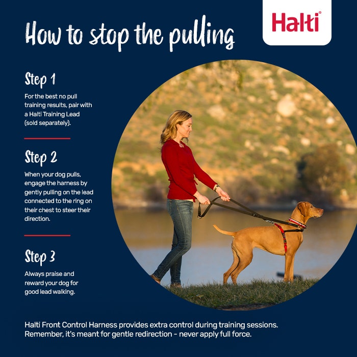Halti Dog Front Control Harness Black
