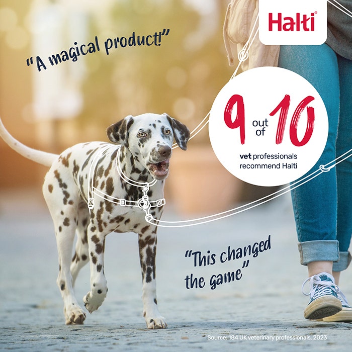 Halti Dog Front Control Harness Black