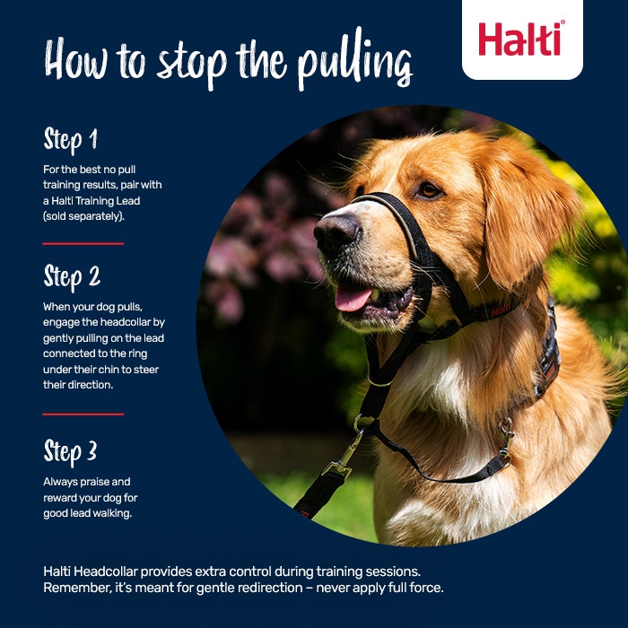 Halti Dog Head Collar Black