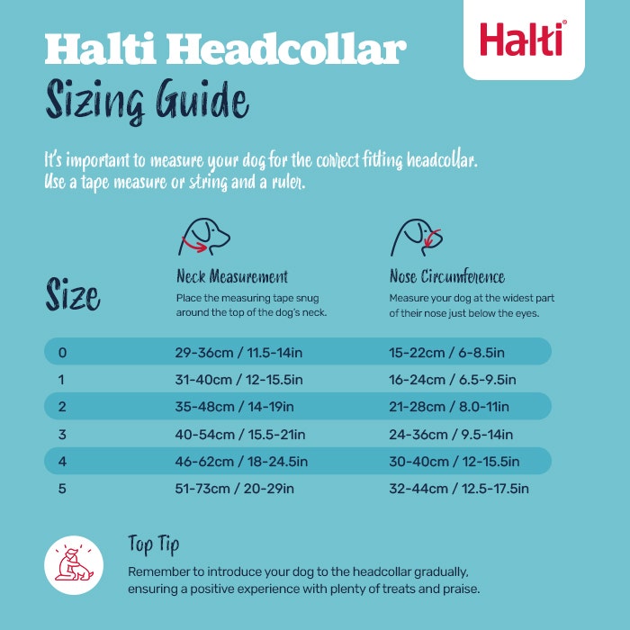 Halti Dog Head Collar Black