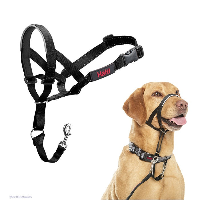 Halti Dog Head Collar Black