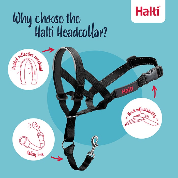 Halti Dog Head Collar Black